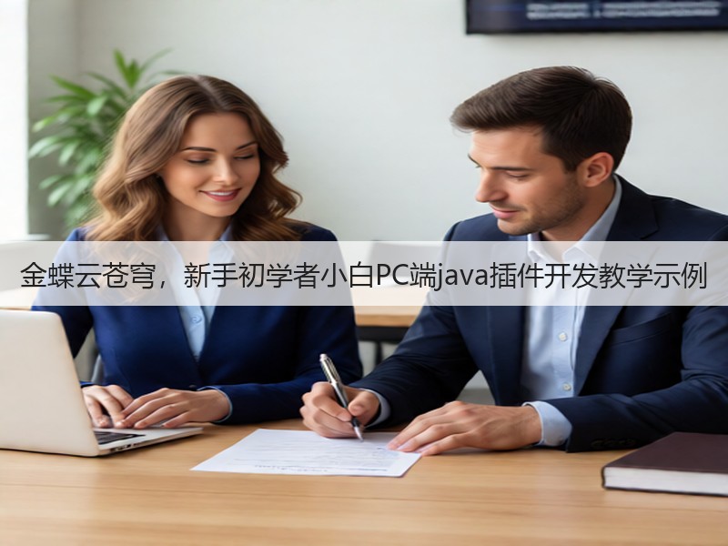 金蝶云苍穹，新手初学者小白PC端java插件开发教学示例(图3)