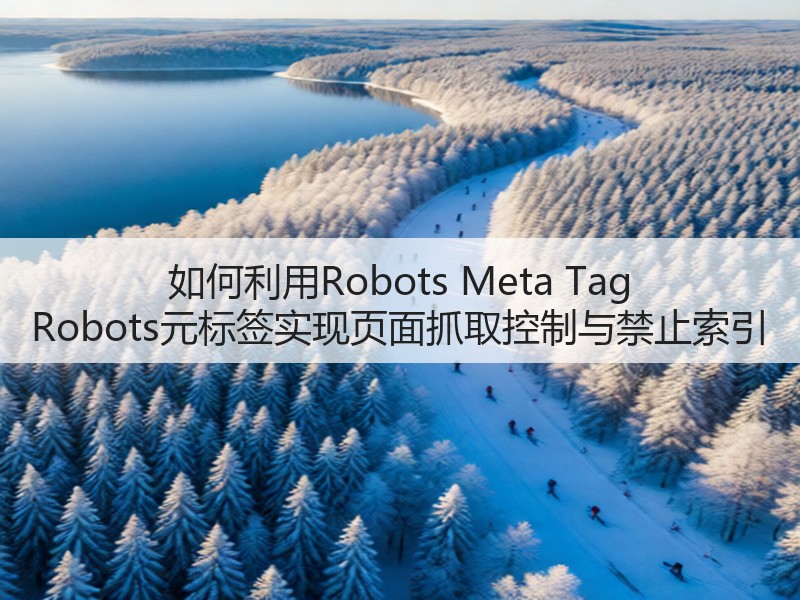 如何利用Robots Meta Tag Robots元标签实现页面抓取控制与禁止索引(图3)