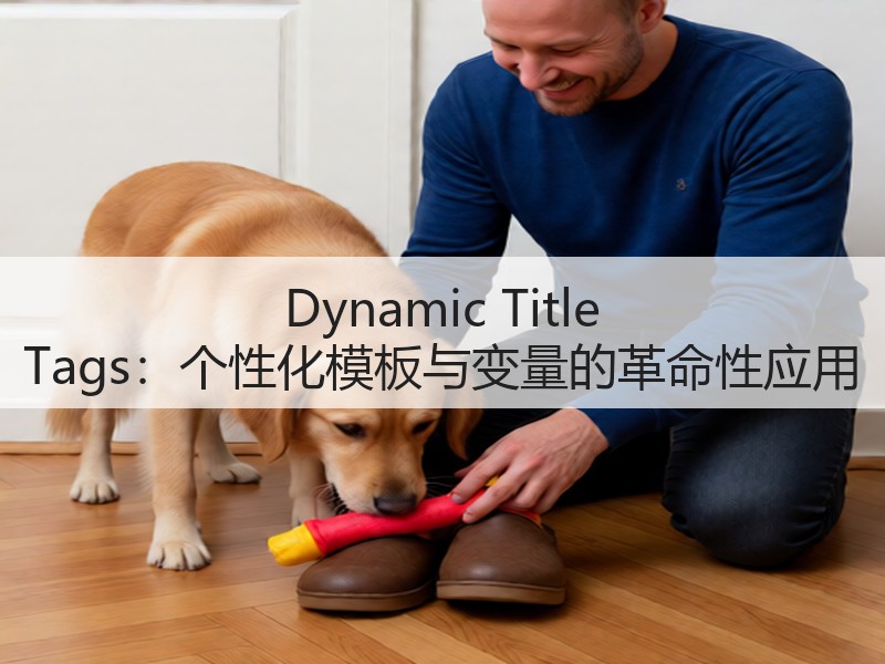 Dynamic Title Tags:个性化模板与变量的革命性应用(图2) Dynamic Title Tags:个性化模板与变量的革命性应用(图2)