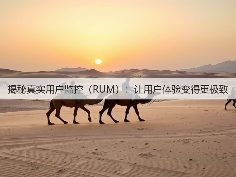 揭秘真实用户监控（RUM）：让用户体验变得更极致(图3)