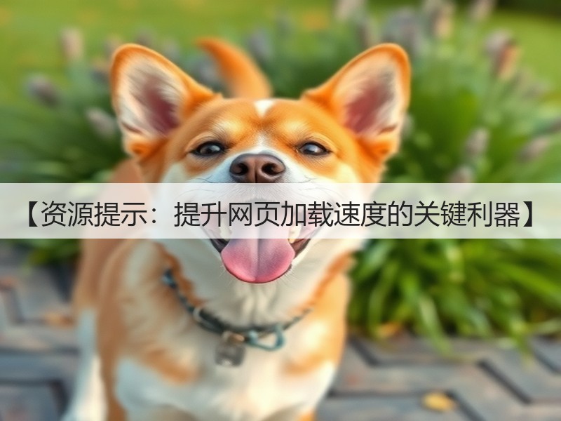 【资源提示：提升网页加载速度的关键利器】(图3)