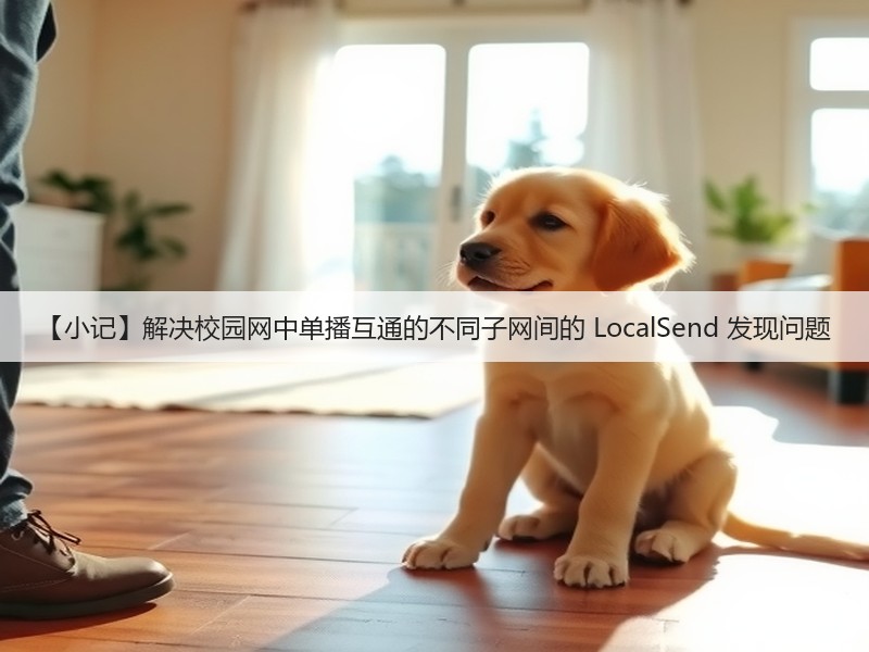 【小记】解决校园网中单播互通的不同子网间的 LocalSend 发现问题(图2)
