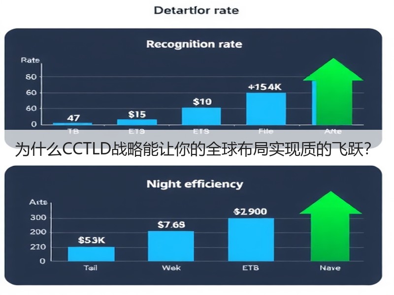 为什么CCTLD战略能让你的全球布局实现质的飞跃？(图2)