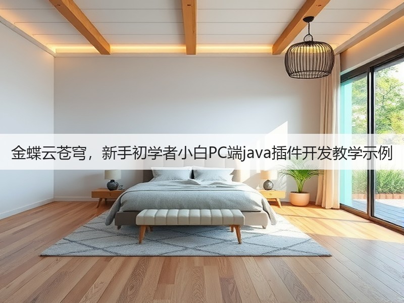 金蝶云苍穹，新手初学者小白PC端java插件开发教学示例(图2)