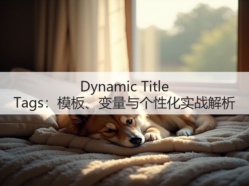 Dynamic Title Tags:模板、变量与个性化实战解析(图3) Dynamic Title Tags:模板、变量与个性化实战解析(图3)