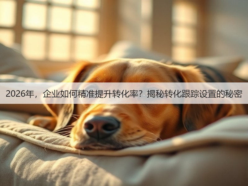 2026年,企业如何精准提升转化率?揭秘转化跟踪设置的秘密(图3) 2026年,企业如何精准提升转化率?揭秘转化跟踪设置的秘密(图3)