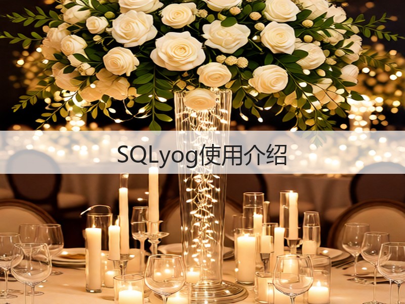 SQLyog使用介绍(图3)