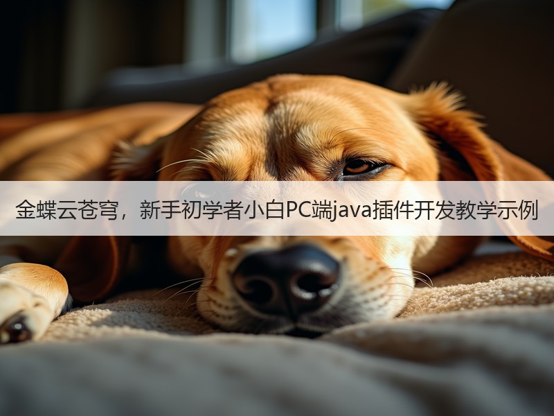 金蝶云苍穹，新手初学者小白PC端java插件开发教学示例