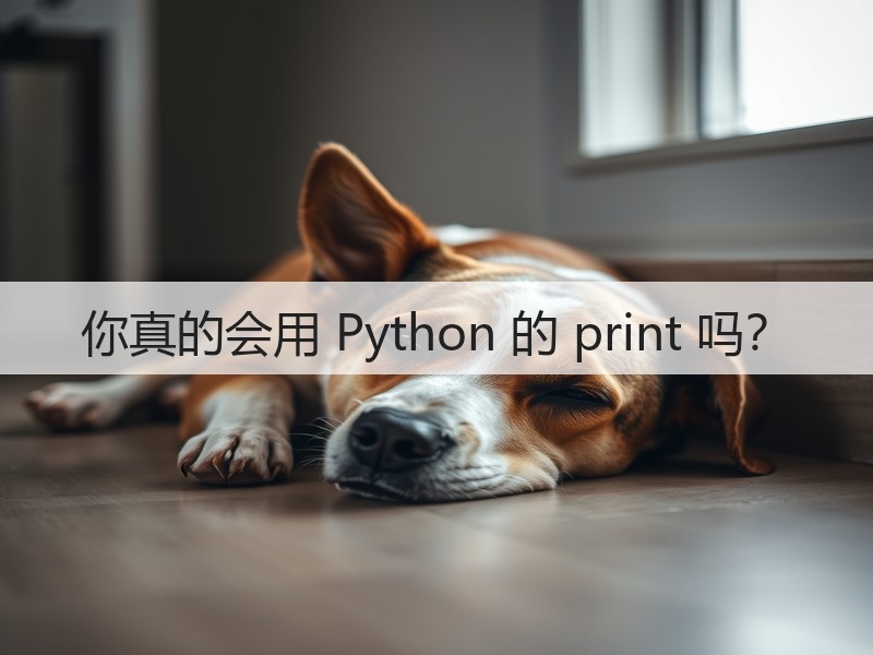 你真的会用 Python 的 print 吗？(图2)