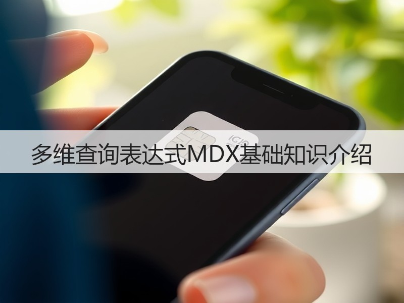 多维查询表达式MDX基础知识介绍(图2)