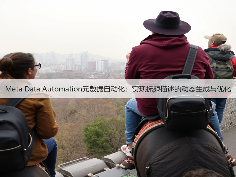 Meta Data Automation元数据自动化：实现标题描述的动态生成与优化(图2)