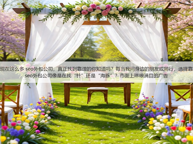 为什么现在这么多 seo外包公司，真正找到靠谱的你知道吗？每当我问身边的朋友或同行，选择靠谱吗的 seo外包公司像是在找“针”还是“海豚”？市面上琳琅满目的广告(图2)