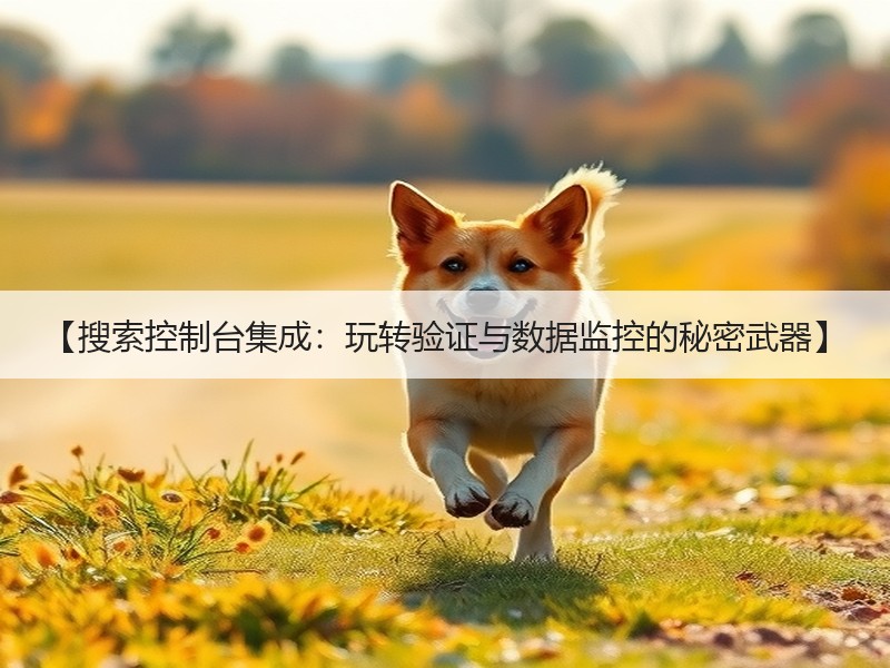 【搜索控制台集成：玩转验证与数据监控的秘密武器】