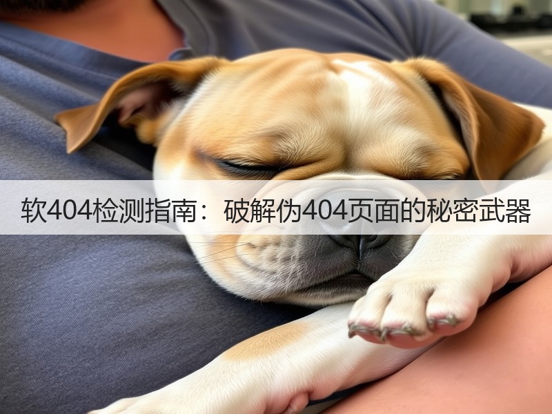 软404检测指南：破解伪404页面的秘密武器(图2)