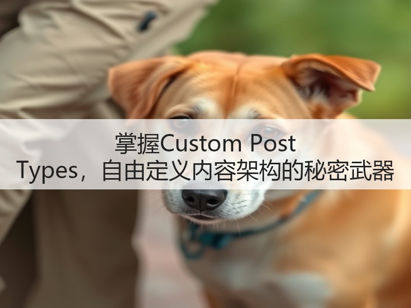 掌握Custom Post Types,自由定义内容架构的秘密武器(图2) 掌握Custom Post Types,自由定义内容架构的秘密武器(图2)