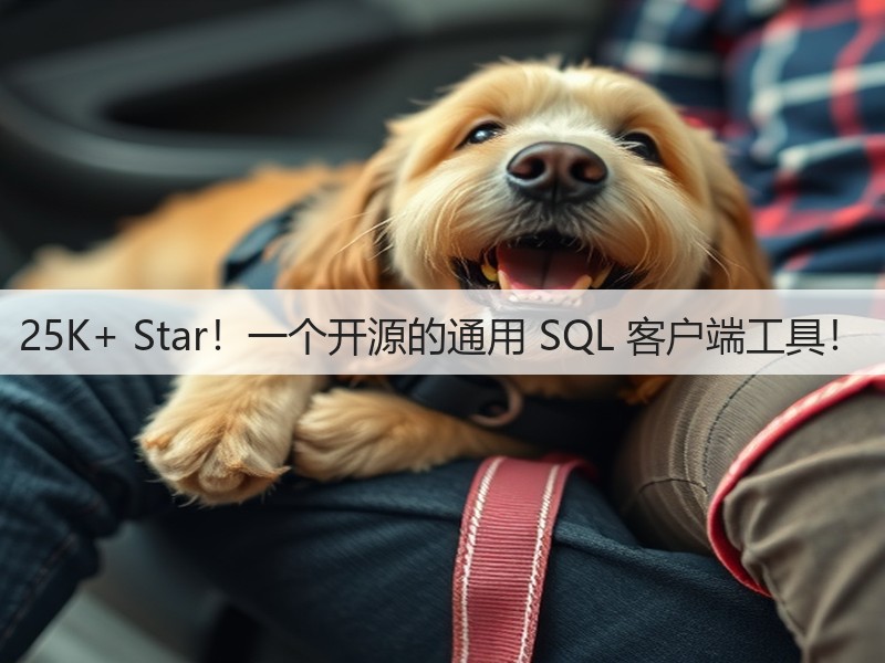 25K+ Star！一个开源的通用 SQL 客户端工具！(图2)