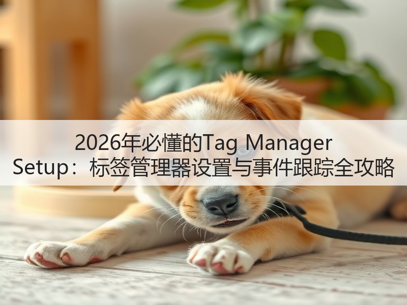 2026年必懂的Tag Manager Setup：标签管理器设置与事件跟踪全攻略(图2)