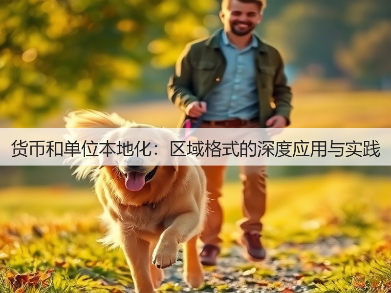 货币和单位本地化：区域格式的深度应用与实践(图2)
