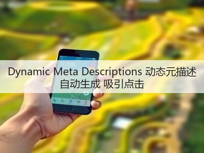 Dynamic Meta Descriptions 动态元描述 自动生成 吸引点击(图2) Dynamic Meta Descriptions 动态元描述 自动生成 吸引点击(图2)