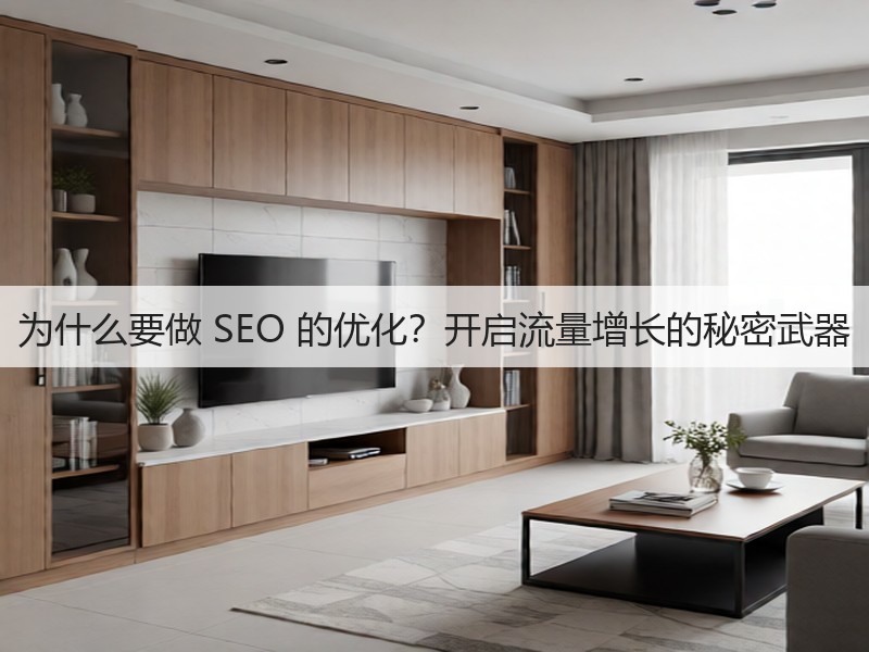 为什么要做 SEO 的优化？开启流量增长的秘密武器(图2)