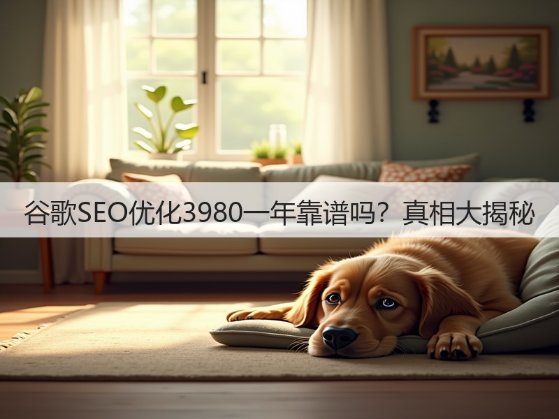 谷歌SEO优化3980一年靠谱吗?真相大揭秘(图3) 谷歌SEO优化3980一年靠谱吗?真相大揭秘(图3)
