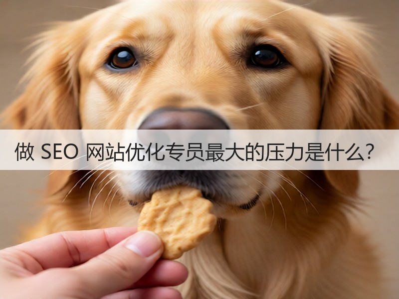 做 SEO 网站优化专员最大的压力是什么？(图2)