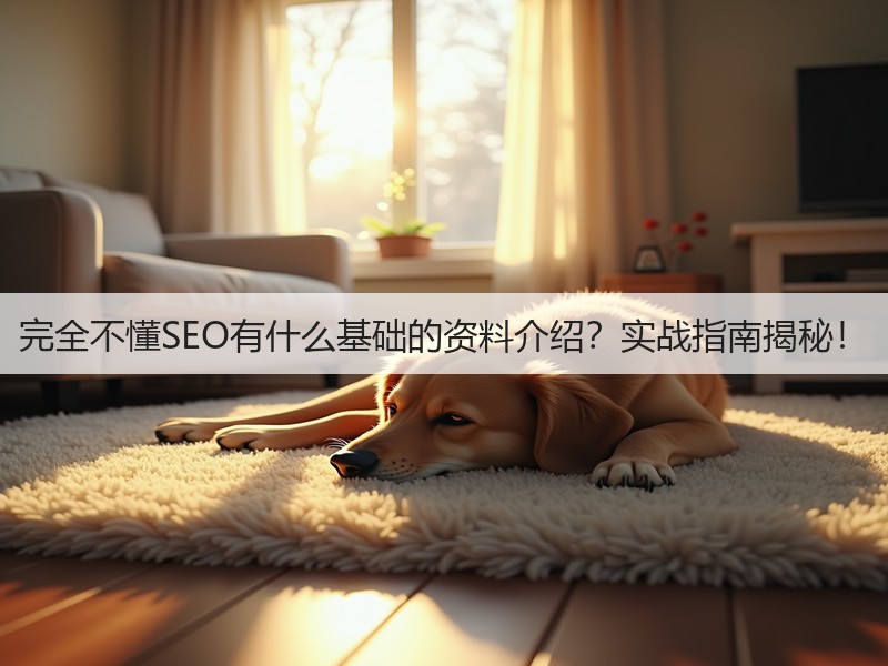 完全不懂SEO有什么基础的资料介绍？实战指南揭秘！(图2)