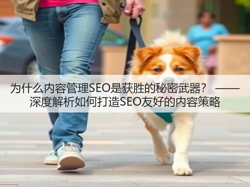 为什么内容管理SEO是获胜的秘密武器? —— 深度解析如何打造SEO友好的内容策略(图3) 为什么内容管理SEO是获胜的秘密武器? —— 深度解析如何打造SEO友好的内容策略(图3)