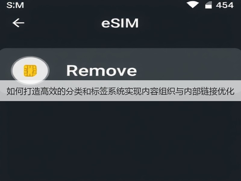 如何打造高效的分类和标签系统实现内容组织与内部链接优化(图2)