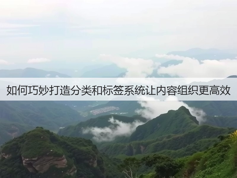 如何巧妙打造分类和标签系统让内容组织更高效(图2)