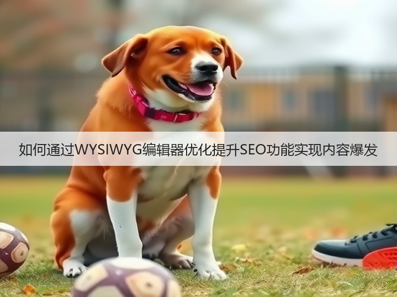 如何通过WYSIWYG编辑器优化提升SEO功能实现内容爆发(图2)