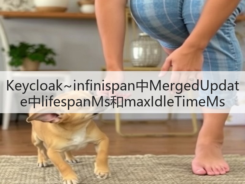 Keycloak~infinispan中MergedUpdate中lifespanMs和maxIdleTimeMs(图2) Keycloak~infinispan中MergedUpdate中lifespanMs和maxIdleTimeMs(图2)