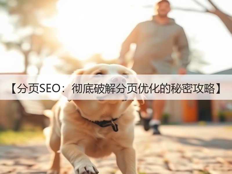【分页SEO：彻底破解分页优化的秘密攻略】