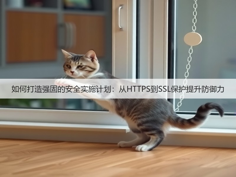 如何打造强固的安全实施计划：从HTTPS到SSL保护提升防御力(图3)