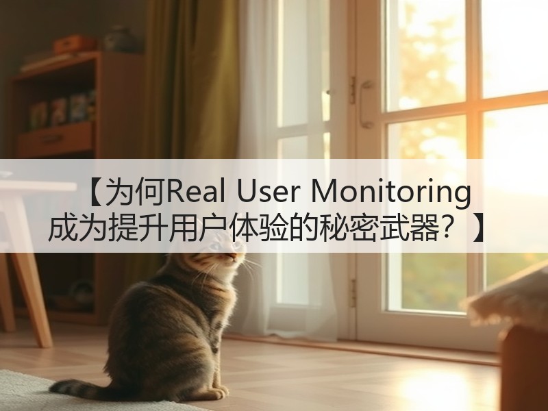【为何Real User Monitoring 成为提升用户体验的秘密武器?】(图2) 【为何Real User Monitoring 成为提升用户体验的秘密武器?】(图2)