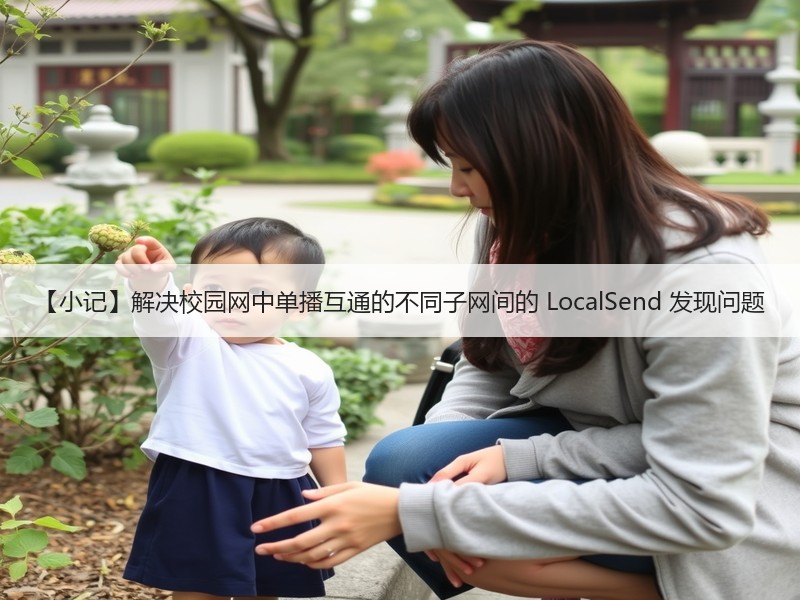 【小记】解决校园网中单播互通的不同子网间的 LocalSend 发现问题
