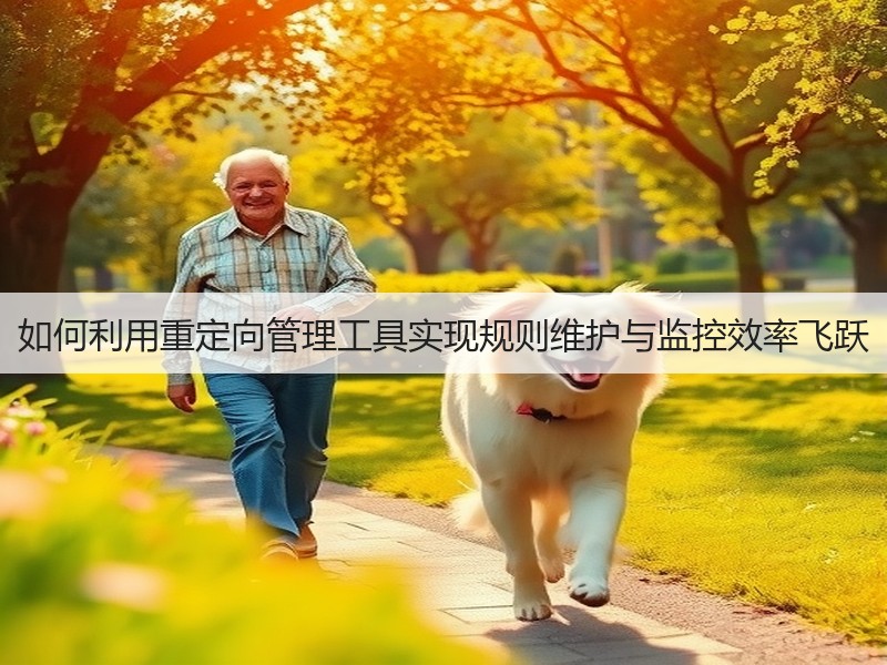 如何利用重定向管理工具实现规则维护与监控效率飞跃(图2)