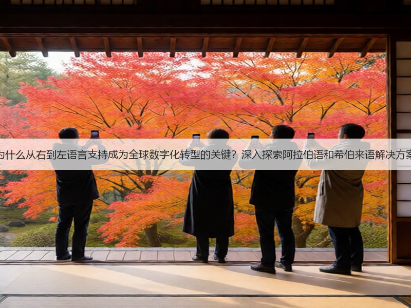 为什么从右到左语言支持成为全球数字化转型的关键？深入探索阿拉伯语和希伯来语解决方案(图3)