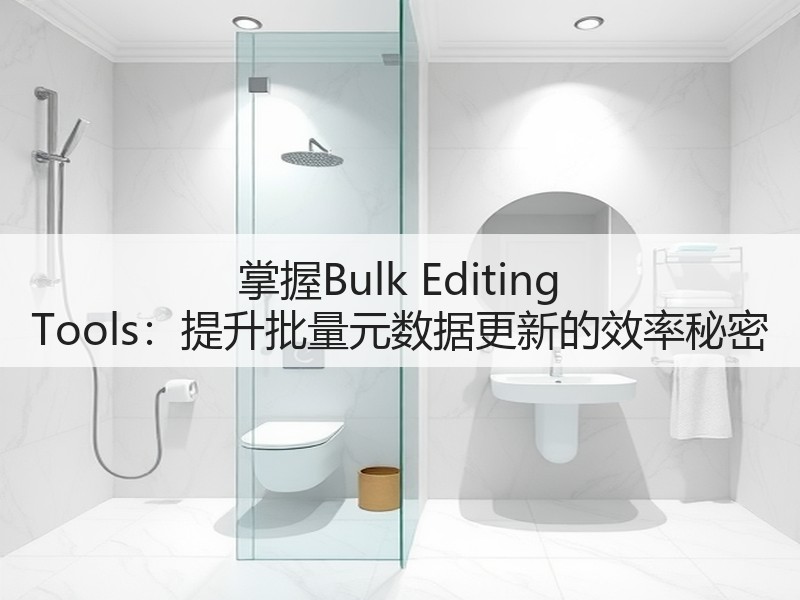 掌握Bulk Editing Tools：提升批量元数据更新的效率秘密(图3)