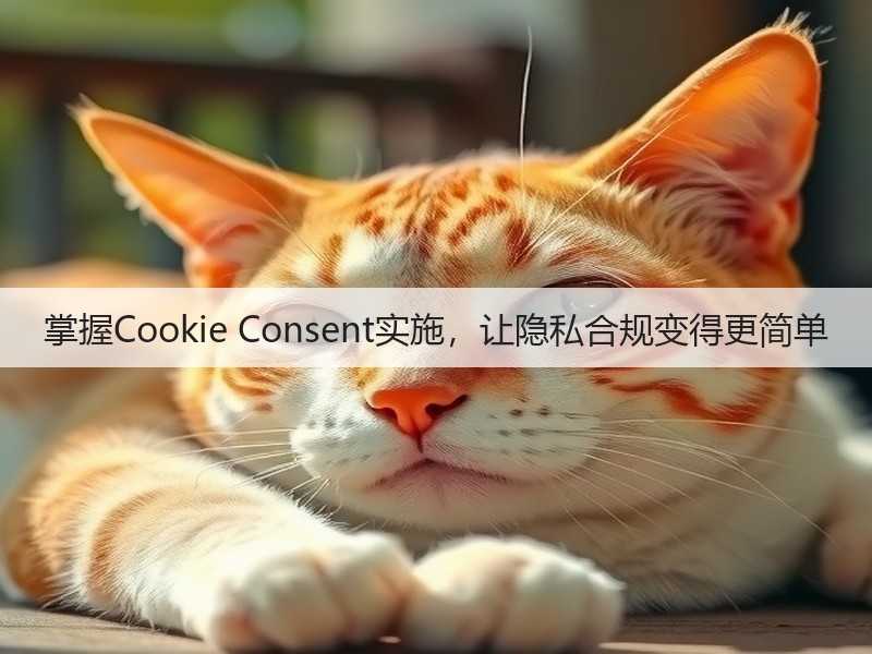 掌握Cookie Consent实施，让隐私合规变得更简单(图1)