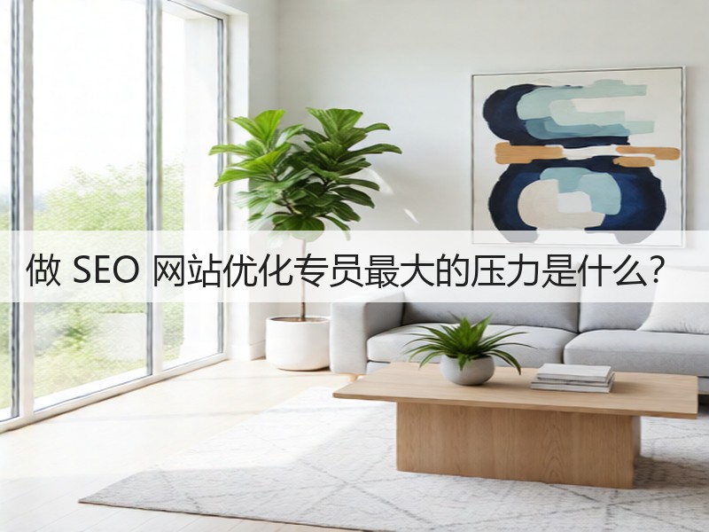 做 SEO 网站优化专员最大的压力是什么？(图3)