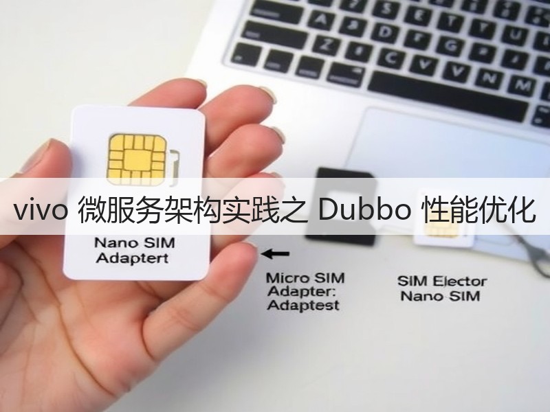 vivo 微服务架构实践之 Dubbo 性能优化(图2)