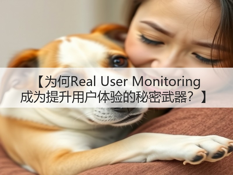 【为何Real User Monitoring 成为提升用户体验的秘密武器？】(图2)