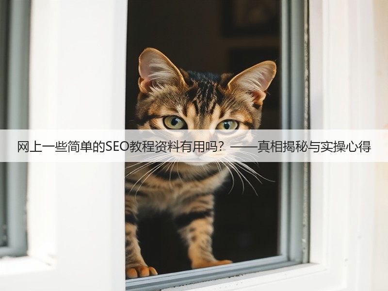 网上一些简单的SEO教程资料有用吗？——真相揭秘与实操心得(图2)