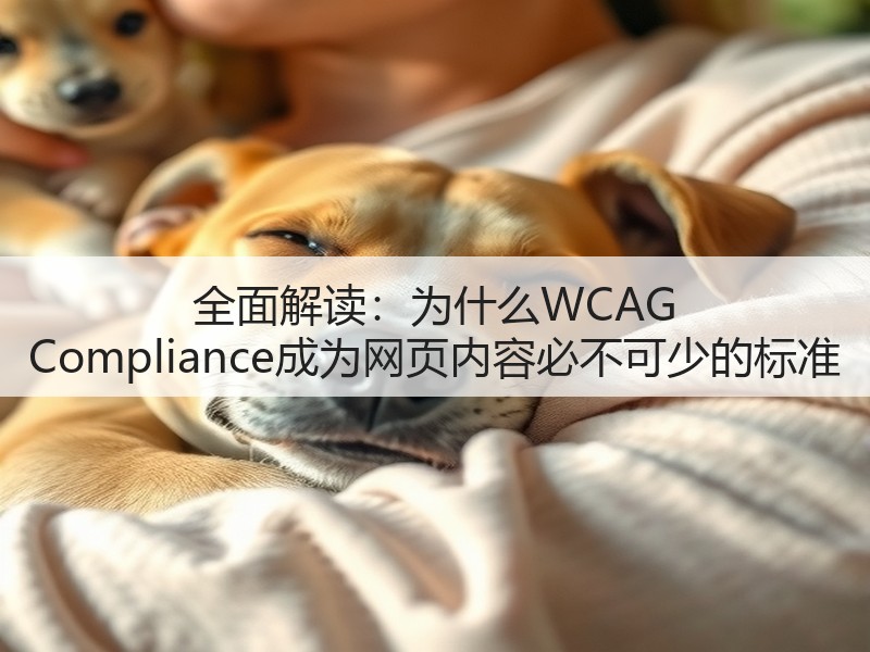 全面解读:为什么WCAG Compliance成为网页内容必不可少的标准(图3) 全面解读:为什么WCAG Compliance成为网页内容必不可少的标准(图3)