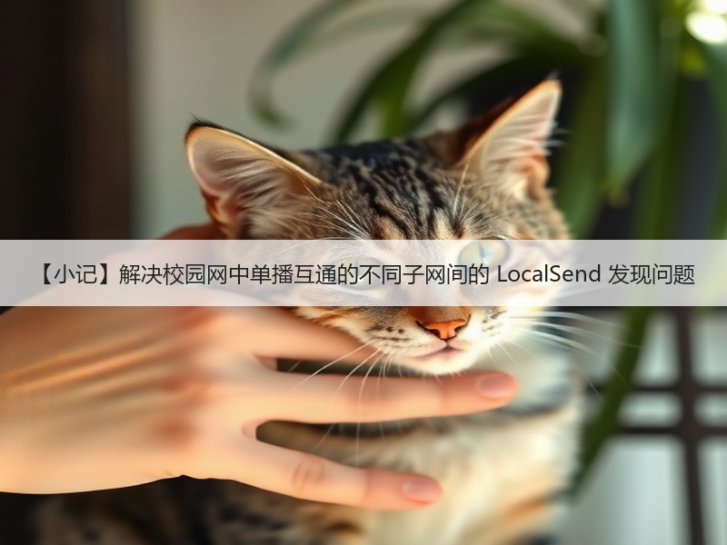 【小记】解决校园网中单播互通的不同子网间的 LocalSend 发现问题