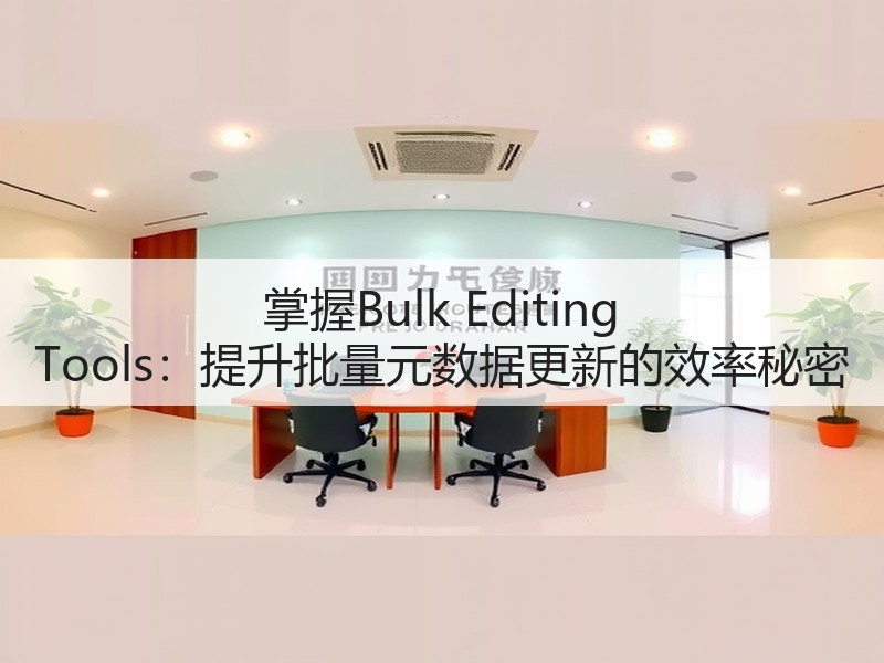 掌握Bulk Editing Tools：提升批量元数据更新的效率秘密(图3)