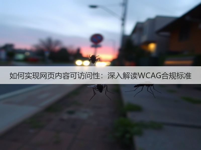 如何实现网页内容可访问性:深入解读WCAG合规标准(图3) 如何实现网页内容可访问性:深入解读WCAG合规标准(图3)
