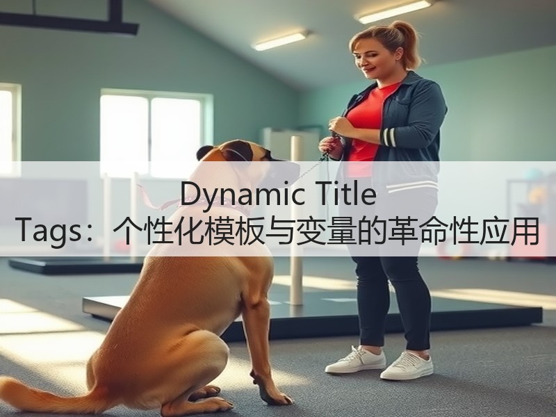 Dynamic Title Tags：个性化模板与变量的革命性应用(图3)