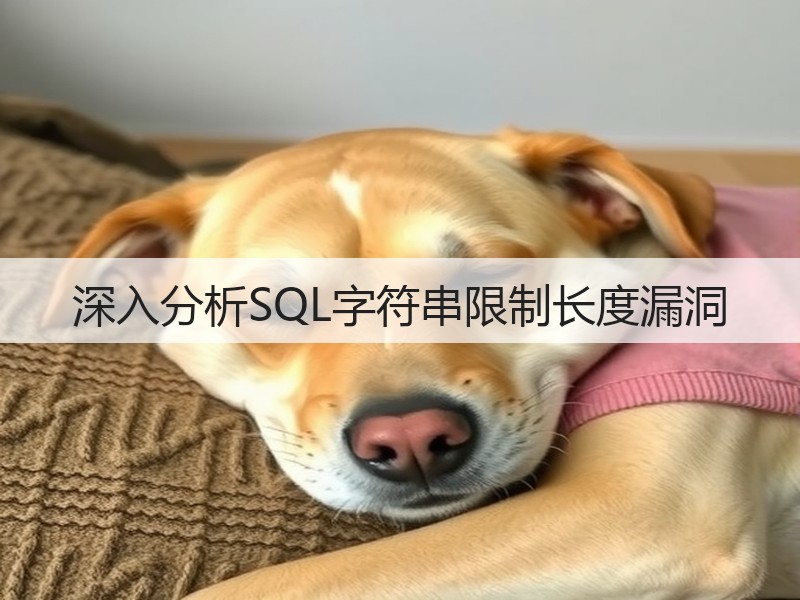 深入分析SQL字符串限制长度漏洞(图2) 深入分析SQL字符串限制长度漏洞(图2)